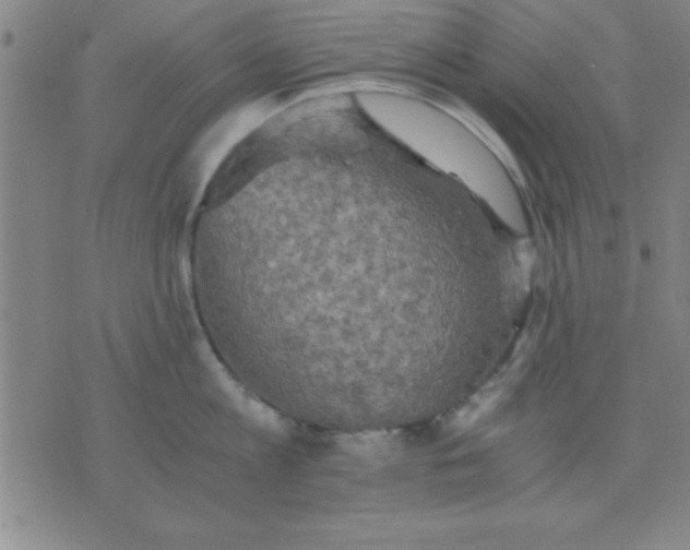 X0000075810813200610061730