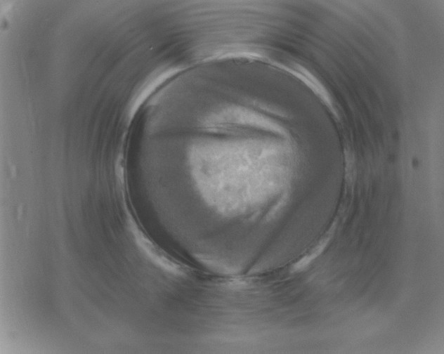 X0000075810814200610061730