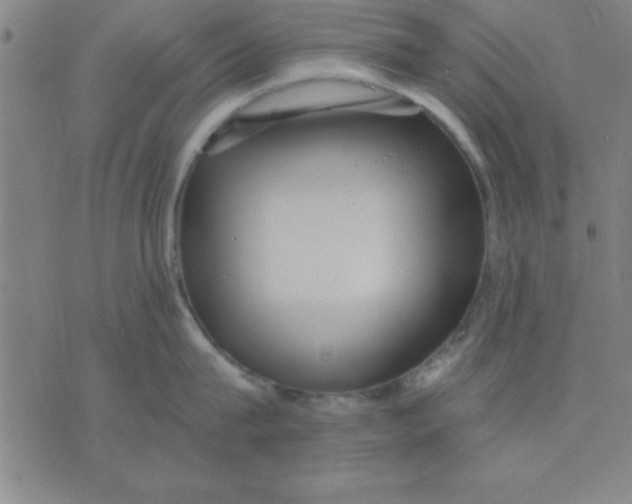 X0000075810815200610061730