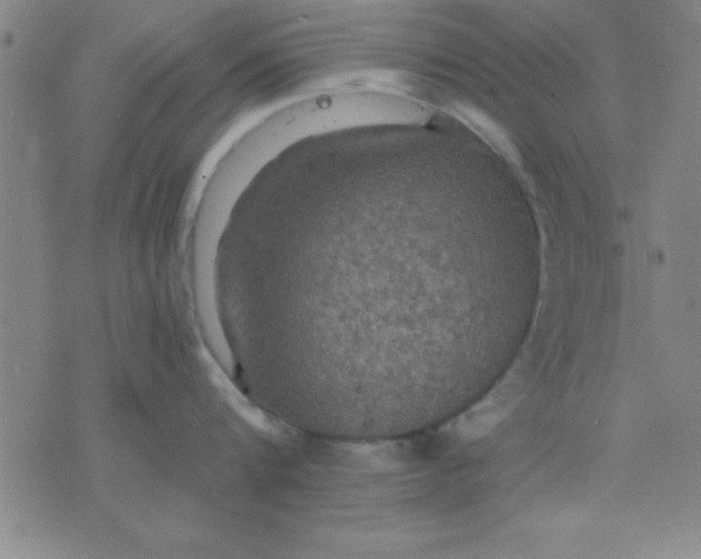 X0000075810816200610061730