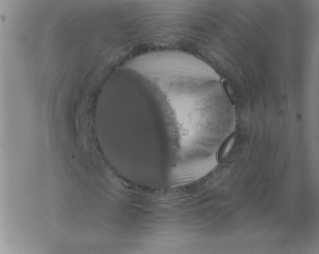 X0000075810817200610061729