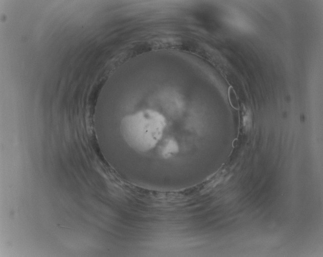 X0000075810819200610061729