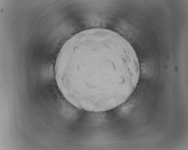 X0000075810820200610061729