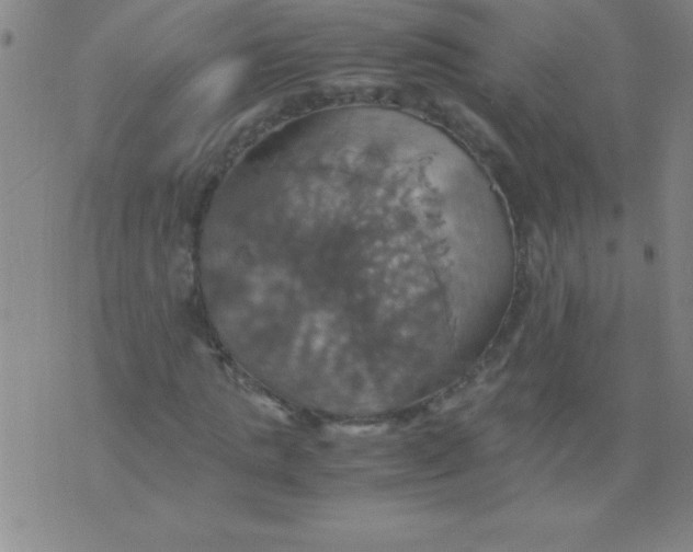 X0000075810821200610061729