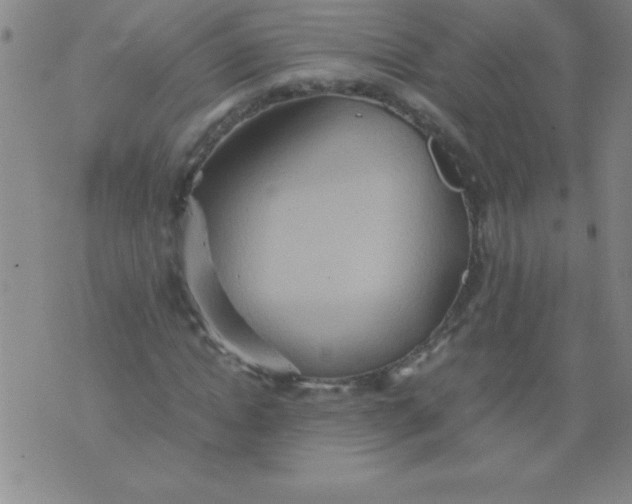 X0000075810822200610061729