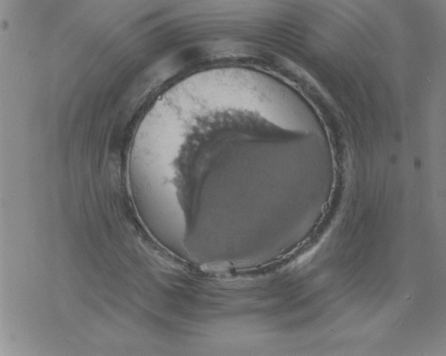 X0000075810825200610061729