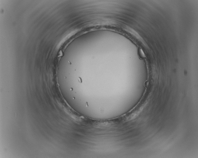 X0000075810826200610061729