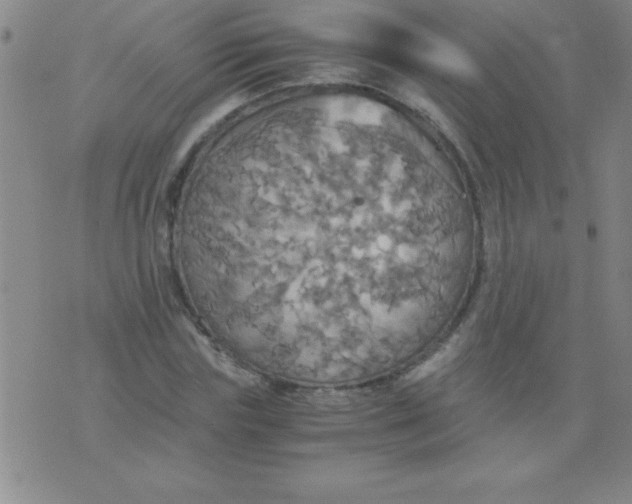 X0000075810827200610061729