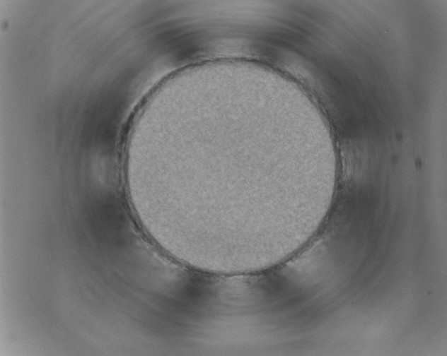 X0000075810828200610061729