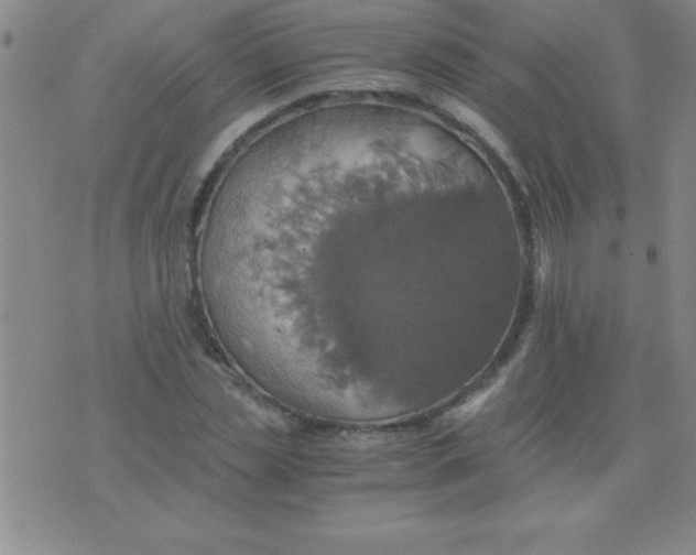 X0000075810829200610061729