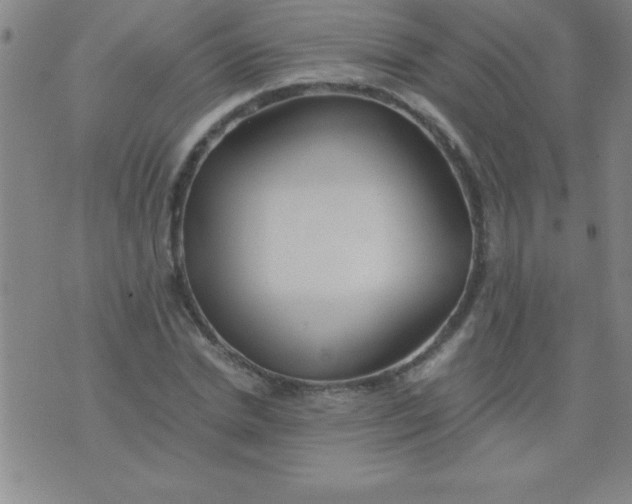 X0000075810830200610061729