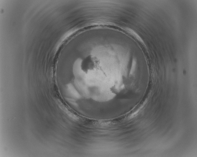 X0000075810831200610061730