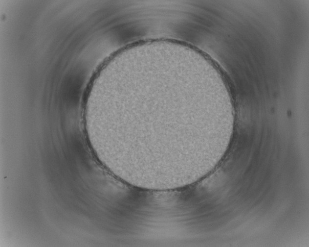 X0000075810832200610061730