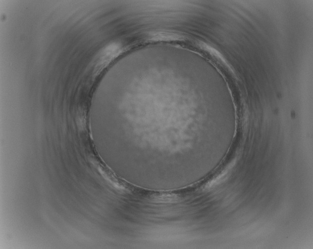 X0000075810833200610061730