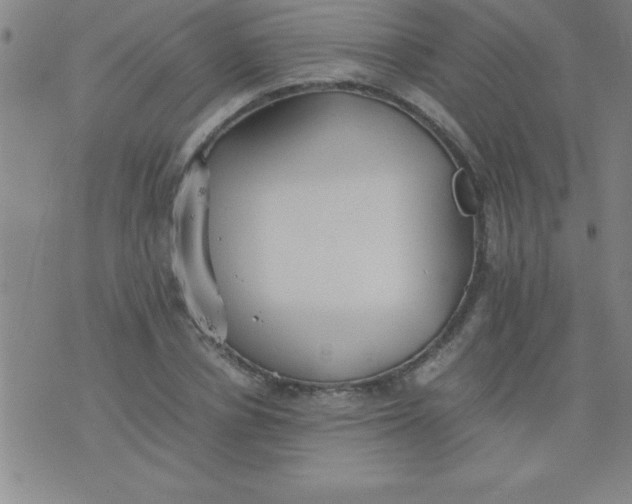 X0000075810834200610061730