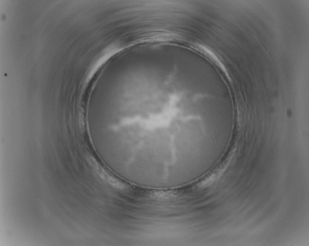 X0000075810835200610061730