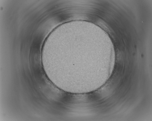 X0000075810836200610061730