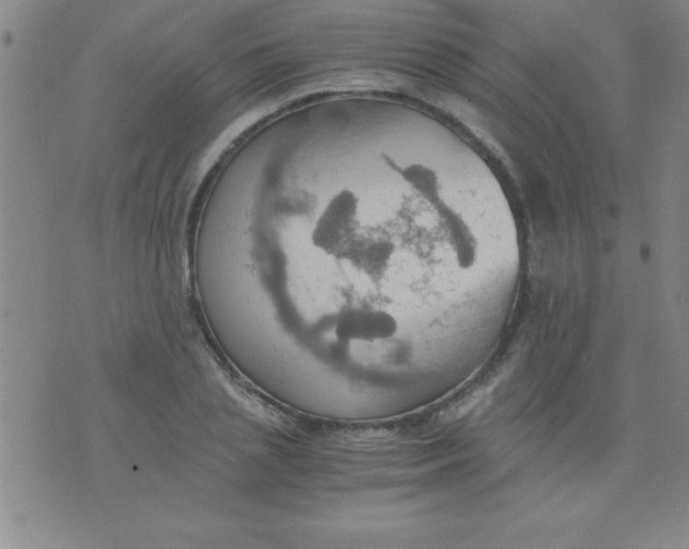 X0000075810837200610061730