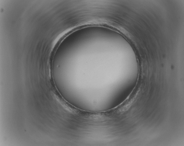 X0000075810838200610061730