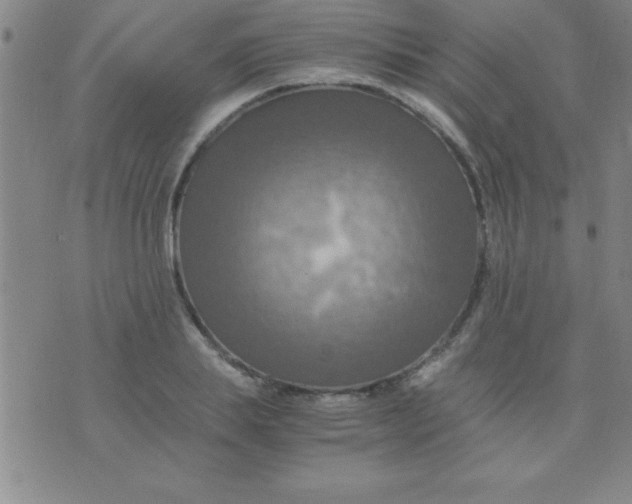 X0000075810839200610061730