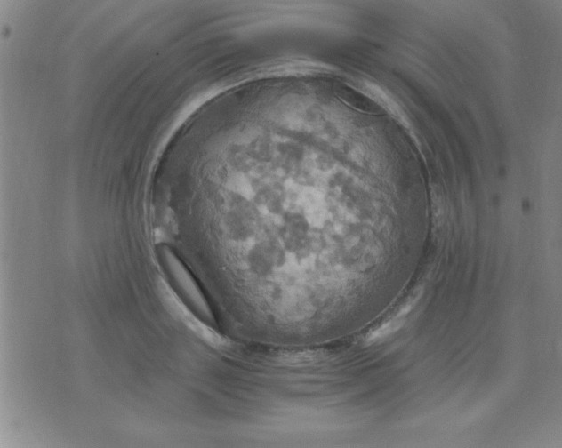 X0000075810843200610061730