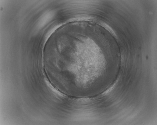 X0000075810844200610061730