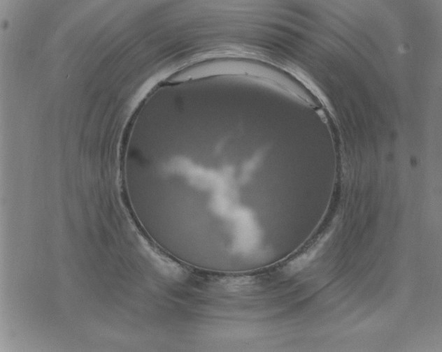 X0000075810845200610061730