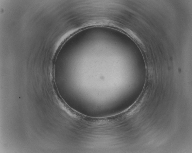 X0000075810846200610061730