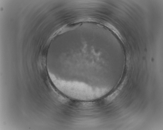 X0000075810849200610061730