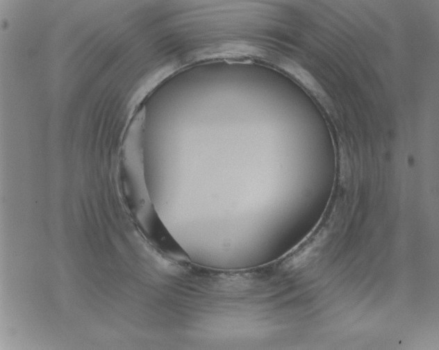 X0000075810850200610061730