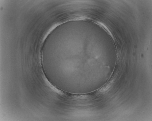 X0000075810851200610061730