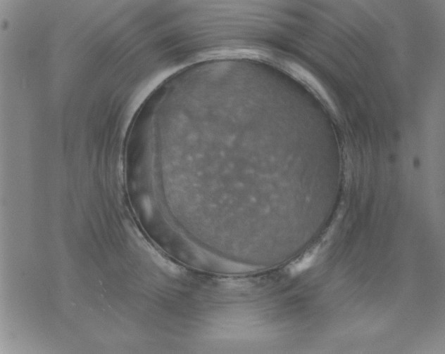 X0000075810852200610061730