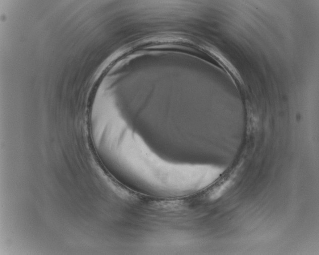 X0000075810853200610061730