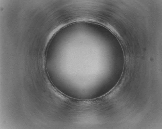 X0000075810854200610061730