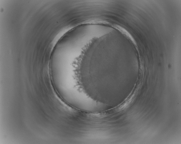 X0000075810855200610061730