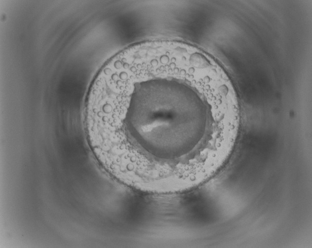 X0000075810856200610061730