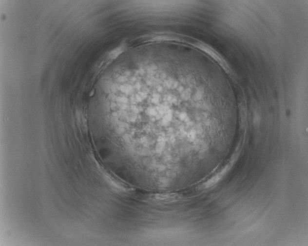 X0000075810857200610061730