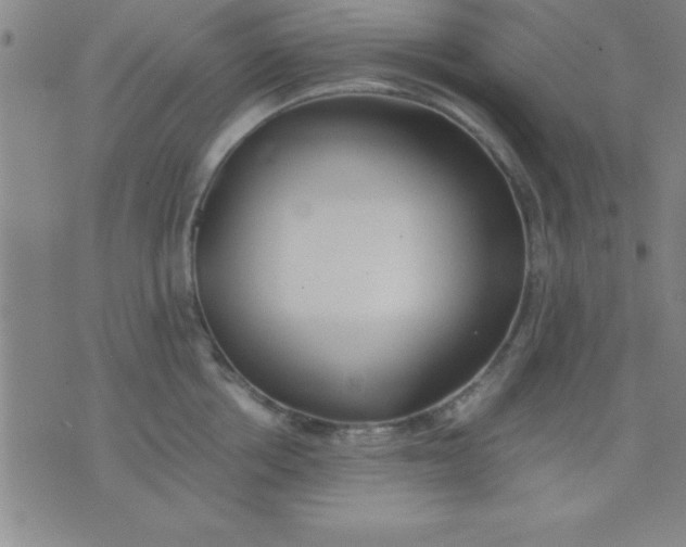 X0000075810858200610061730