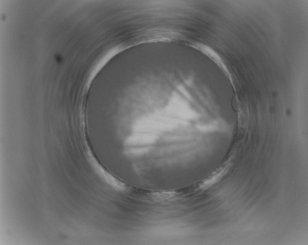 X0000075810859200610061730