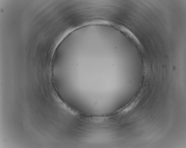 X0000075810860200610061730