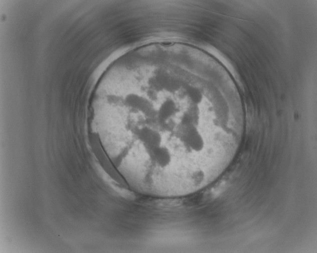 X0000075810861200610061730