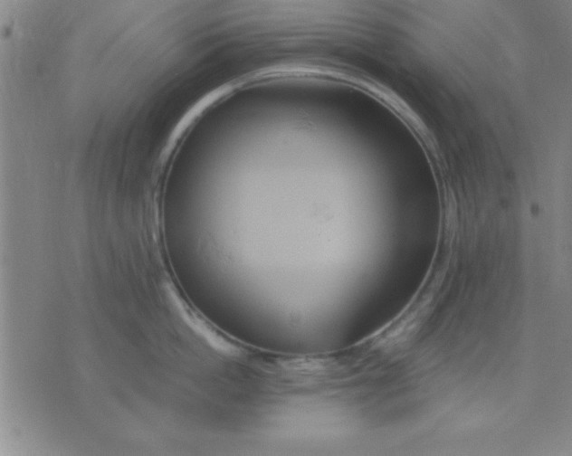 X0000075810862200610061730