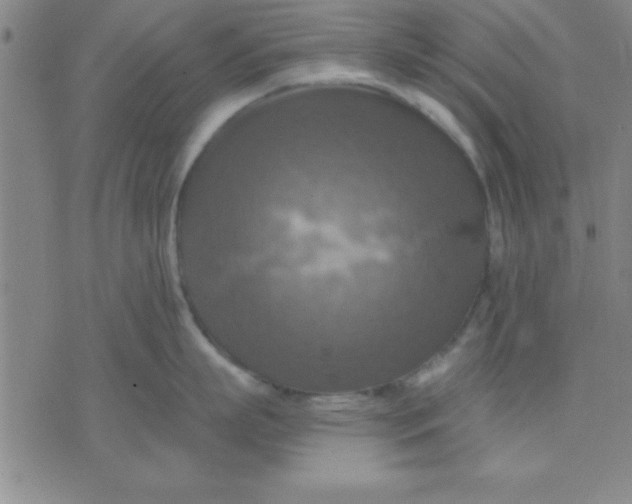 X0000075810863200610061730