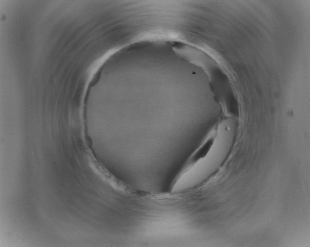 X0000075810864200610061730