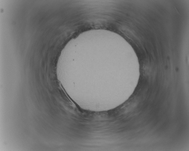 X0000075810865200610061729