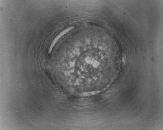 X0000075810867200610061729