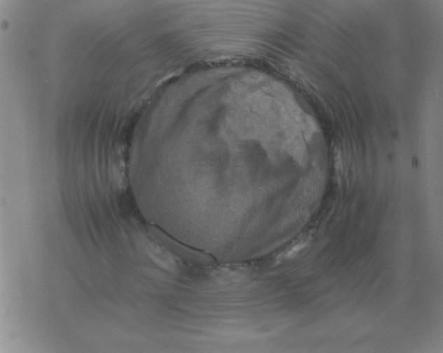 X0000075810868200610061729