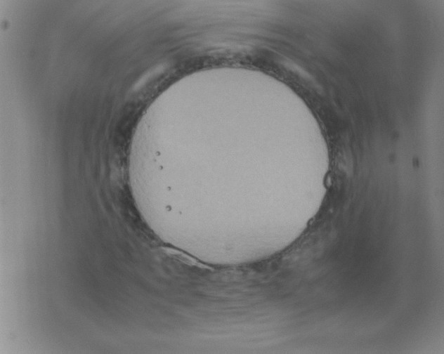 X0000075810869200610061729