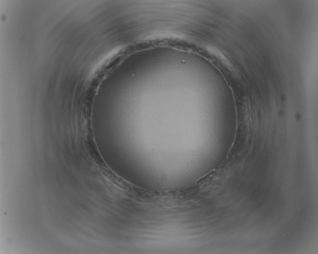 X0000075810872200610061729