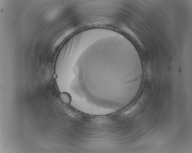 X0000075810874200610061729